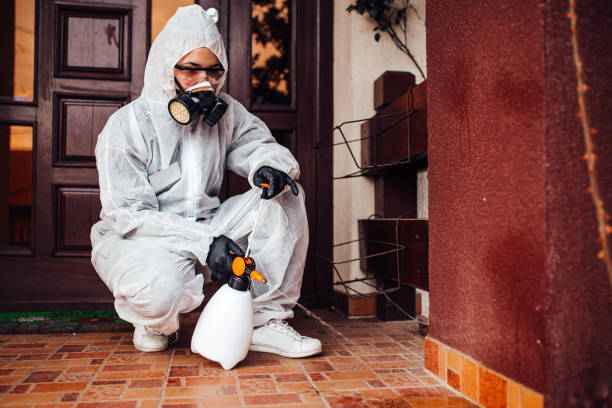 Attic and Crawl Space Rodent Treatment in Lavonia